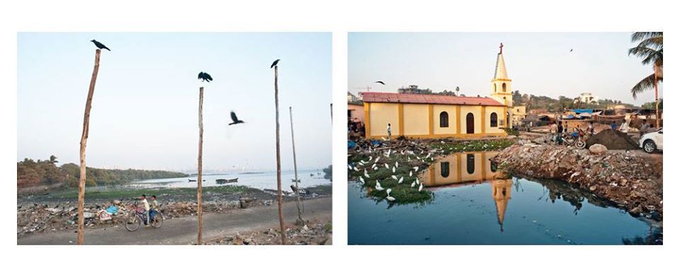 10835094_395833617257699_4990565978272249558_o